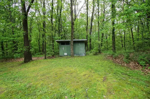 Exterior - 11111 Born, Three Rivers, MI 49093 photo 20 of 23
