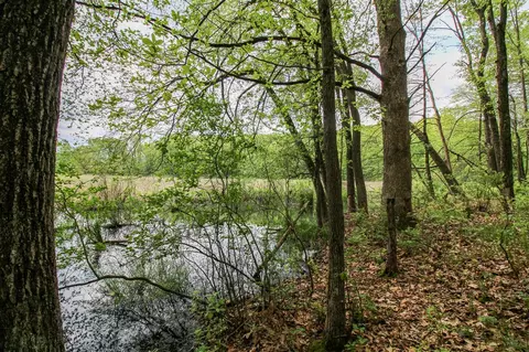 View/Area - 11111 Born, Three Rivers, MI 49093 photo 1 of 5