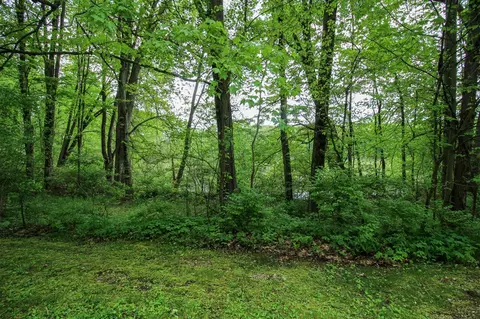 Exterior - 11111 Born, Three Rivers, MI 49093 photo 3 of 23