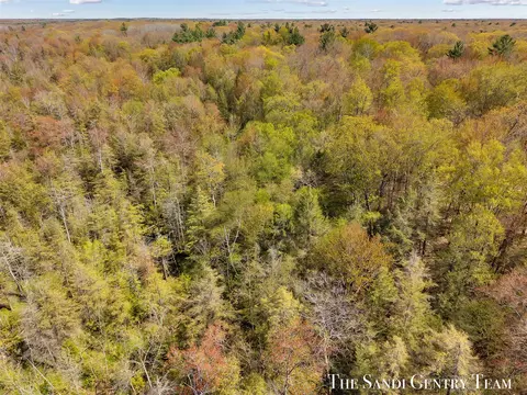Orshal, Whitehall, MI 49461 photo 8