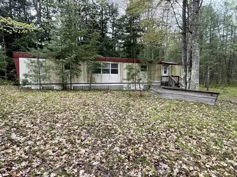 V/l E Pomeroy Springs, Irons, MI 49644 photo 19