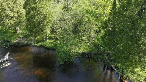 V/l E Pomeroy Springs, Irons, MI 49644 photo 8
