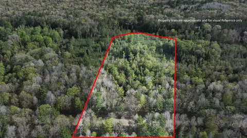 V/l E Pomeroy Springs, Irons, MI 49644 photo 27