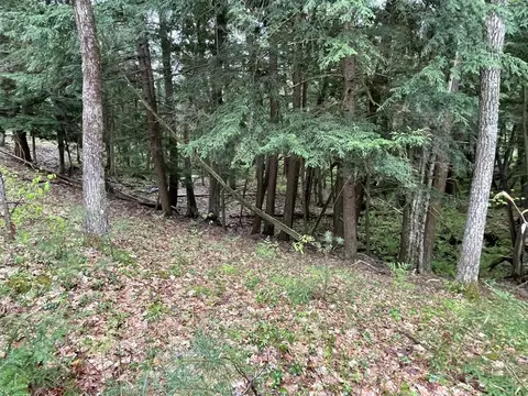 V/l E Pomeroy Springs, Irons, MI 49644 photo 22