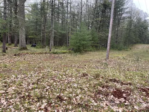 V/l E Pomeroy Springs, Irons, MI 49644 photo 15