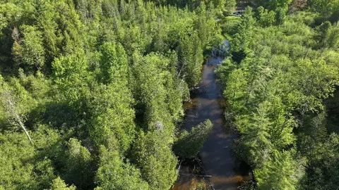 V/l E Pomeroy Springs, Irons, MI 49644 photo 11