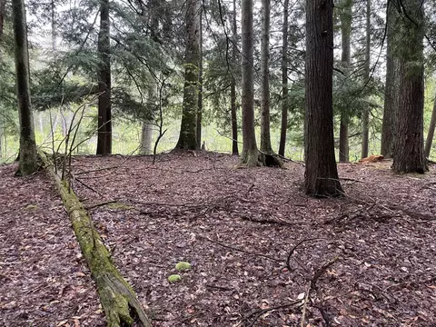 V/l E Pomeroy Springs, Irons, MI 49644