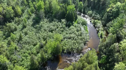 V/l E Pomeroy Springs, Irons, MI 49644 photo 10
