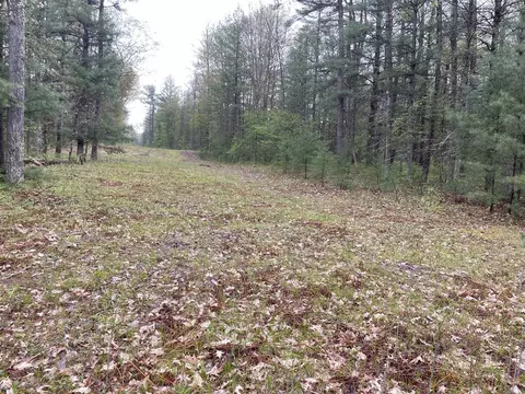 V/l E Pomeroy Springs, Irons, MI 49644 photo 14