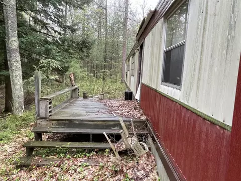V/l E Pomeroy Springs, Irons, MI 49644 photo 20