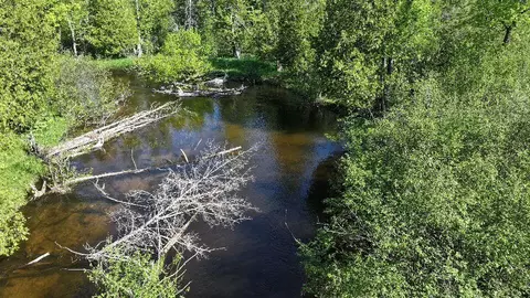 V/l E Pomeroy Springs, Irons, MI 49644 photo 7