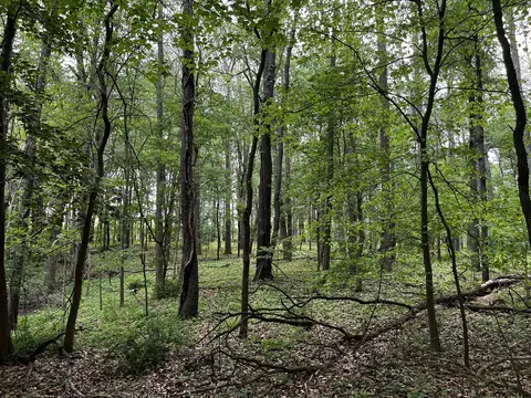 Other - 2831 Hemlock, Quincy, MI 49082 photo 3 of 5