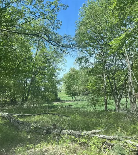 3685 Cypress, Blanchard, MI 49310