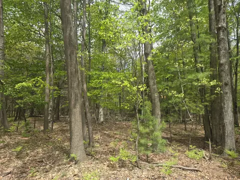 Vl N Ridge, Mears, MI 49436