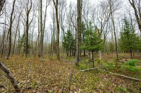 V/l 5a Jacobsville, Update, MI 49945 photo 10