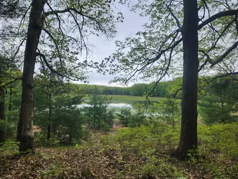 View/Area - 9736 S Trillium, Baldwin, MI 49304 photo 1 of 2