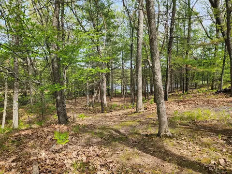Other - 9736 S Trillium, Baldwin, MI 49304 photo 4 of 5