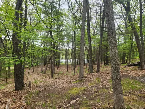 View/Area - 9736 S Trillium, Baldwin, MI 49304 photo 2 of 2