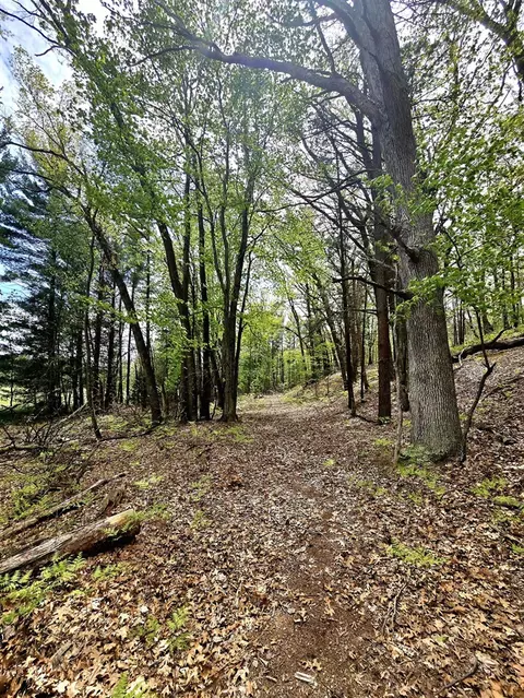 Topping Ave, Pentwater, MI 49449 photo 7
