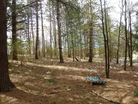 20192 9 Mile, Copemish, MI 49625