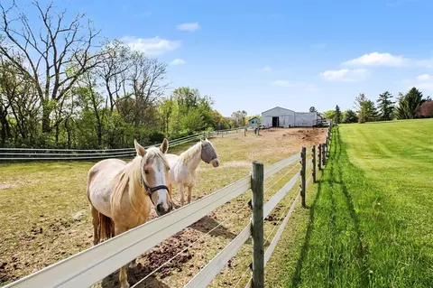 2536 W Coon Lk, Howell, MI 48843