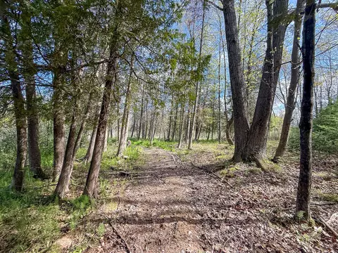 V/l 3 Mile, Sears, MI 49679 photo 6
