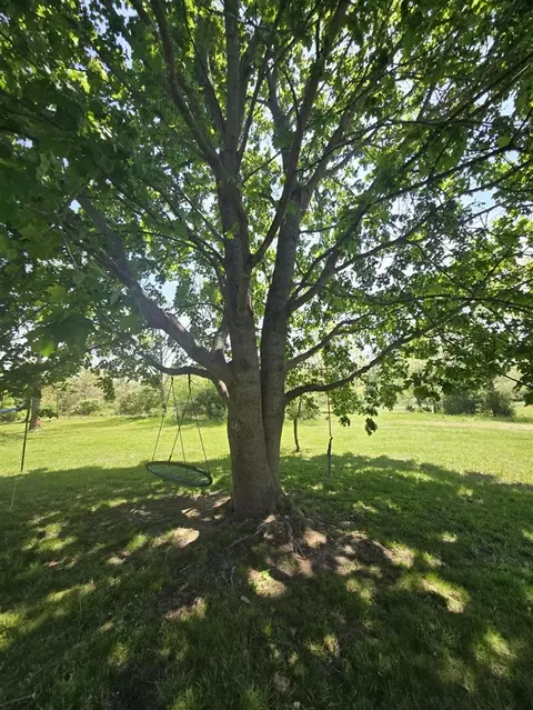 Exterior - 12495 5 Mile, Evart, MI 49631 photo 13 of 32