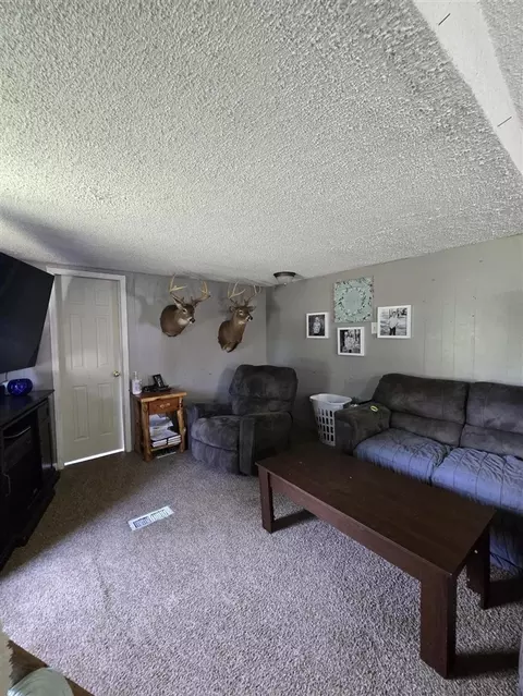 Living - 12495 5 Mile, Evart, MI 49631 photo 2 of 2