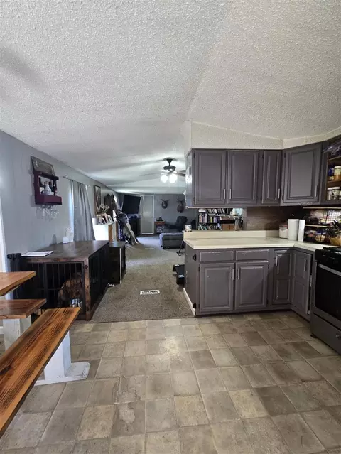 Kitchen - 12495 5 Mile, Evart, MI 49631 photo 2 of 7