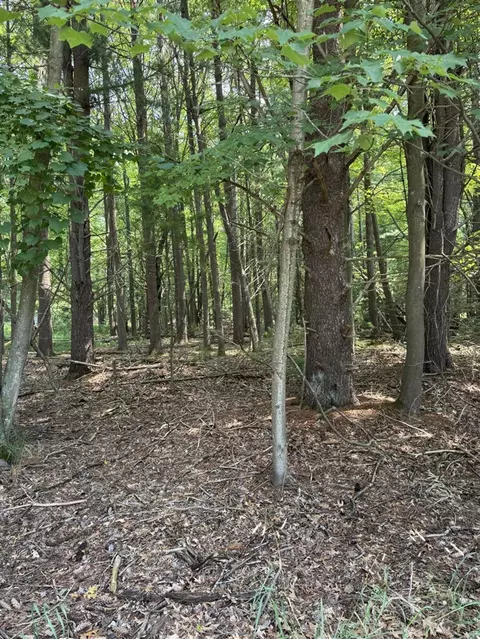 Vl 3rd, Pentwater, MI 49449 photo 2