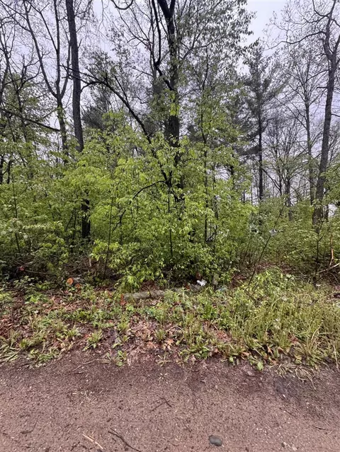 V/l Paw Paw, Howard City, MI 49329
