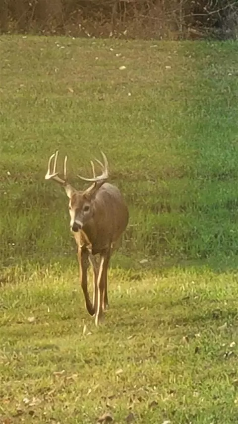 Other - 5569 S Corey, Perry, MI 48872 photo 7 of 13