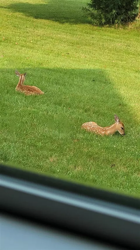 Other - 5569 S Corey, Perry, MI 48872 photo 9 of 13
