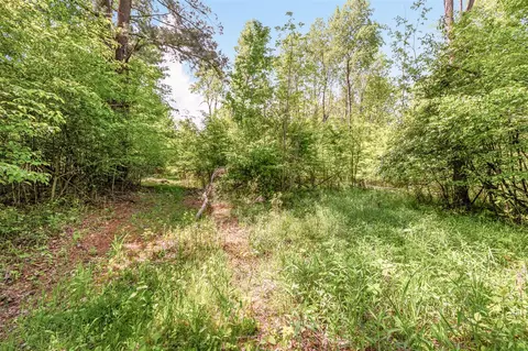 V/l 220th, Big Rapids, MI 49307 photo 13