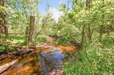 V/l 220th, Big Rapids, MI 49307 photo 4