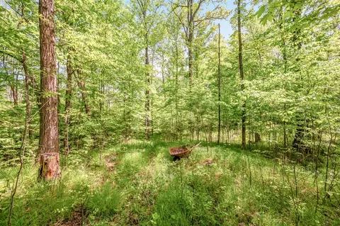 V/l 220th, Big Rapids, MI 49307 photo 17