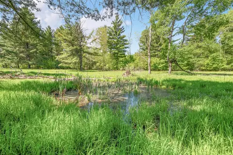 V/l 220th, Big Rapids, MI 49307 photo 6