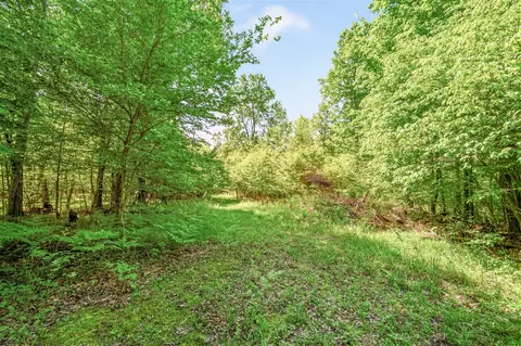 V/l 220th, Big Rapids, MI 49307 photo 9