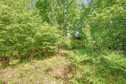 V/l 220th, Big Rapids, MI 49307 photo 8