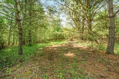 V/l 220th, Big Rapids, MI 49307 photo 23