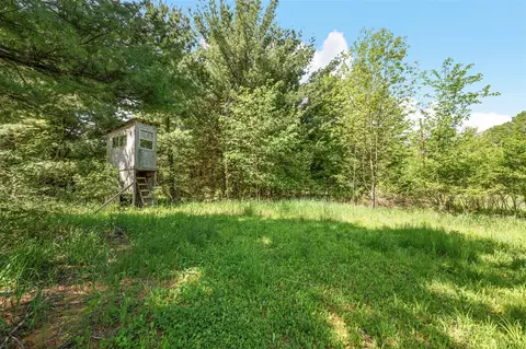 V/l 220th, Big Rapids, MI 49307 photo 2