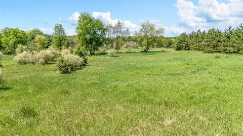 V/l 3rd St, Stanton, MI 48888 photo 21