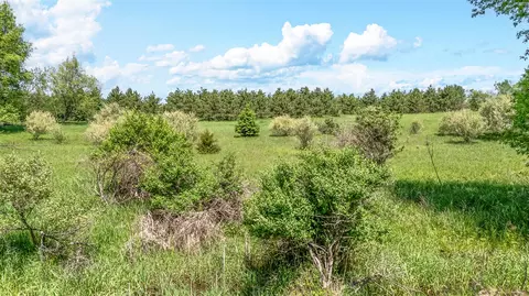V/l 3rd St, Stanton, MI 48888 photo 16