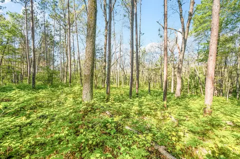 V/l Nelson St, Baldwin, MI 49304 photo 3