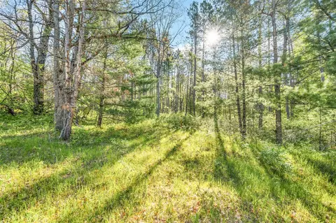 V/l Nelson St, Baldwin, MI 49304 photo 6