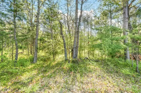 V/l Nelson St, Baldwin, MI 49304 photo 7