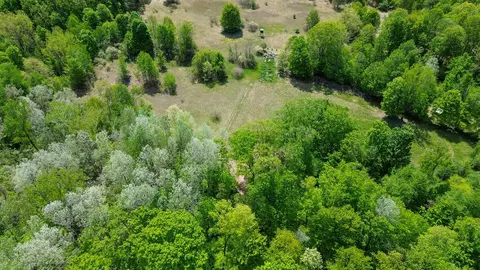 View/Area - 4196 W 4 Mile, White Cloud, MI 49349 photo 3 of 7