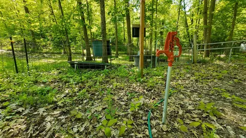 Exterior - 4196 W 4 Mile, White Cloud, MI 49349 photo 14 of 23