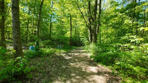 Exterior - 4196 W 4 Mile, White Cloud, MI 49349 photo 15 of 23