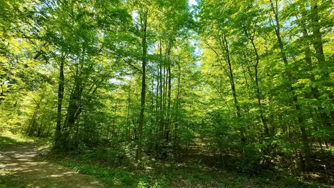 Exterior - 4196 W 4 Mile, White Cloud, MI 49349 photo 16 of 23